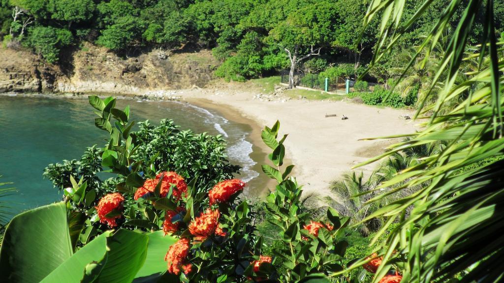 Anse Figuier Gites De France テール・ド・オー 部屋 写真